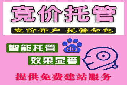 代理开户的五大案例：如何选择最佳方案？